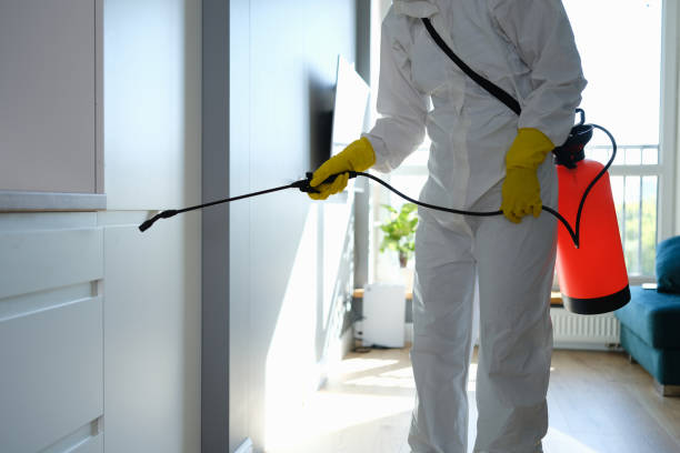 Professional Mold Removal in Black Forest, CO